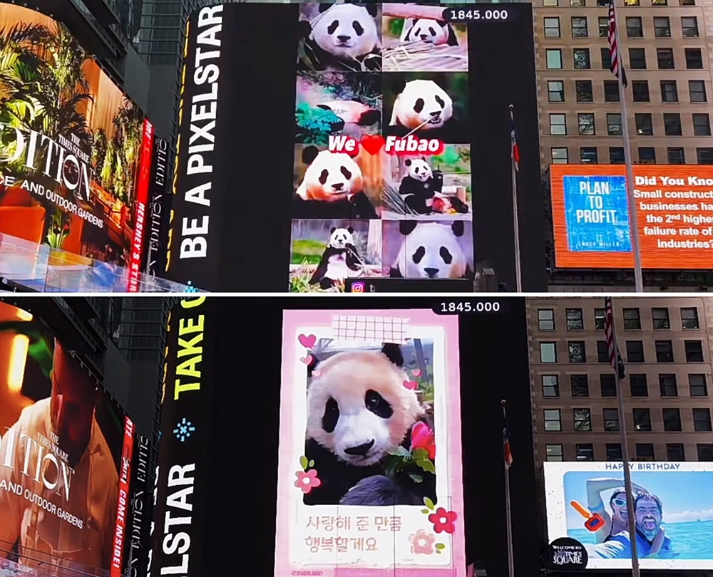 Ngày 9/4 (giờ Mỹ) một video về Fu Bao đã được chiếu trên Quảng trường Thời đại (Time Square), New York, Mỹ. (Ảnh: Chụp màn hình TSX Livestream)