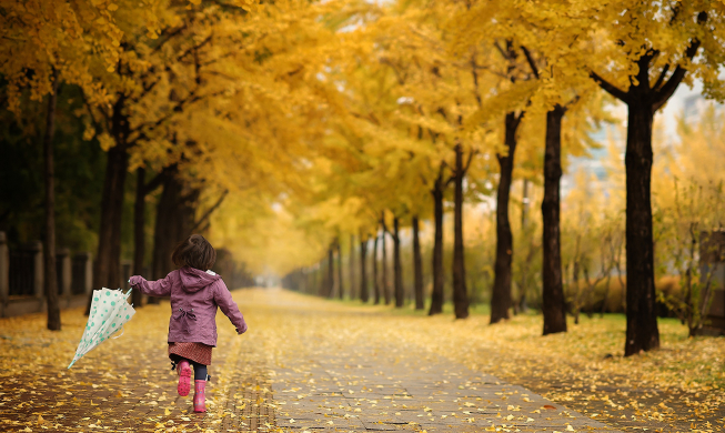 Công bố danh sách 96 con đường mòn để ngắm lá mùa thu đẹp nhất