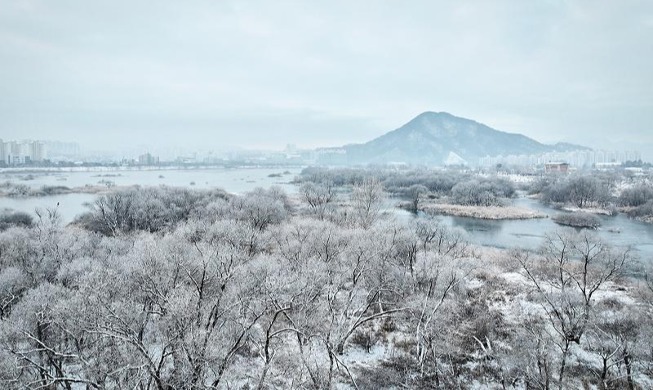 Sương muối trên các lùm cây phủ khắp sông Soyang