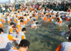 Lễ hội cá hồi Pyeongchang