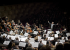 Rotterdam Philharmonic Orchestra 