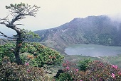 Cảm nhận bốn mùa Hallasan- Jeju trong nháy mắt. 