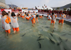 Lễ hội câu cá Hồi Pyeongchang