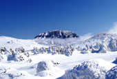 Tận hưởng thể thao mùa đông và phong cảnh núi tuyết của Hallasan 