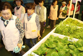 Quận Goesan-gun tìm kiếm tương lai trong ngành nông nghiệp hữu cơ