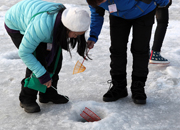 Lễ hội câu cá trên băng núi Hwacheon