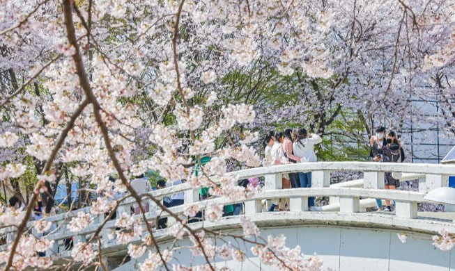 6 địa điểm ngắm hoa xuân nở đẹp nhất tại Hàn Quốc