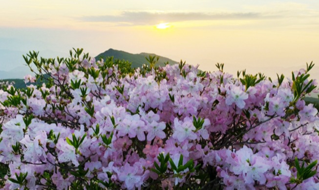 Để lại những kỷ niệm đẹp với các chuyến du lịch đặc biệt tới 21 công viên thiên nhiên Hàn Quốc