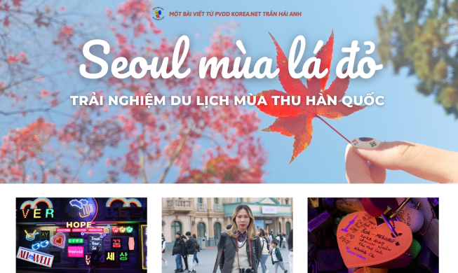 Seoul mùa lá đỏ: Phần 2 - chuyến du lịch mùa thu Hàn Quốc lần đầu tiên của mình