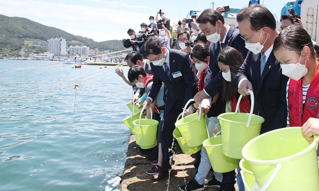 [Hàn Quốc hôm nay] Thả cá con ra biển để đánh dấu Ngày của Biển