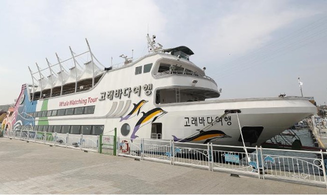 Du thuyền ngắm cá voi duy nhất ở Hàn Quốc sẽ được điều hành ở thành phố Ulsan