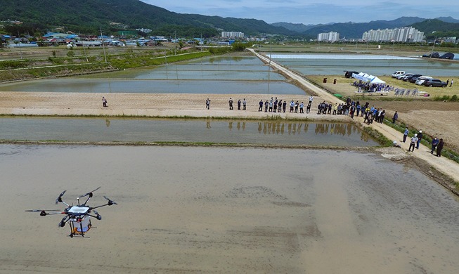[Hàn Quốc hôm nay] Rải hạt lúa bằng máy bay không người lái nông nghiệp