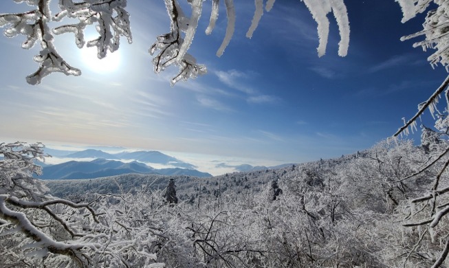 Khoảnh khắc giao thoa giữa mùa đông và mùa xuân trên bán đảo Triều Tiên