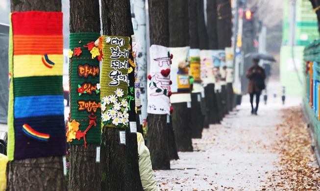 Những hàng cây trên đường phố sẵn sàng đón mùa Đông