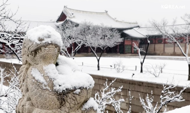 Video: Phong cảnh tuyết đẹp tại Cung điện Gyeongbokgung