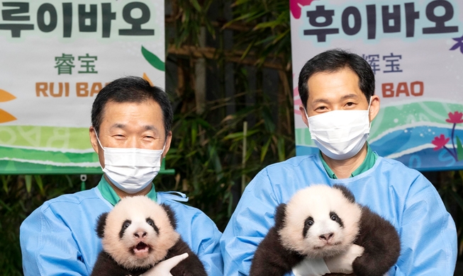 Cặp gấu trúc song sinh đầu tiên tại Hàn Quốc chính thức có tên gọi