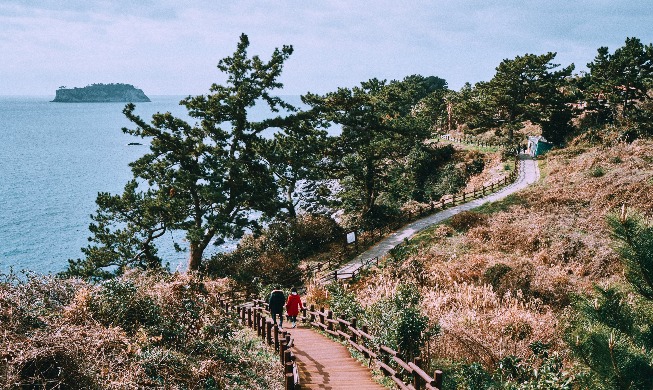 Đường mòn Jeju Olle nằm trong danh sách 10 đường đi bộ ven biển đẹp nhất thế giới