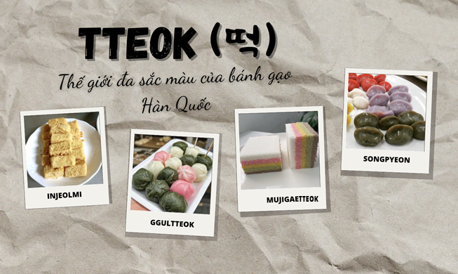 Tteok và thế giới đa sắc màu của bánh gạo Hàn Quốc