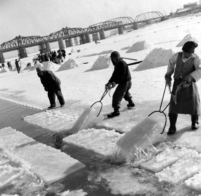  Hình ảnh nhiều người Hàn Quốc đang cắt băng trên sông Hàn vào năm 1957. Nhìn bức ảnh xa xưa cảm nhận được cái lạnh của mùa đông ngày xưa.
