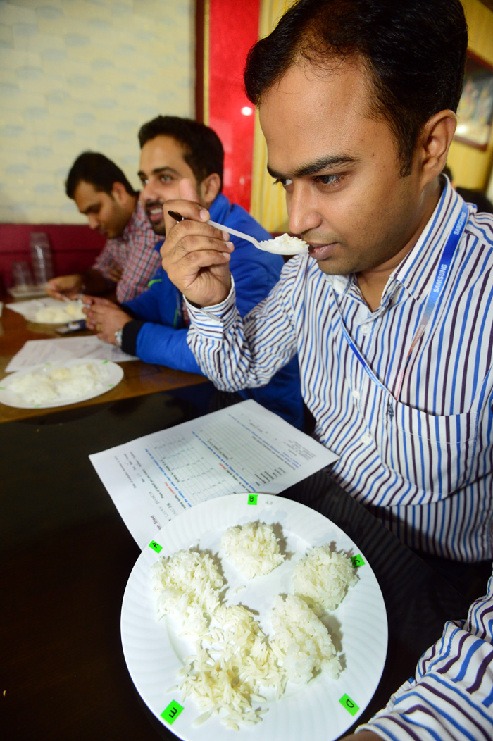 20151111_basmati_03.jpg
