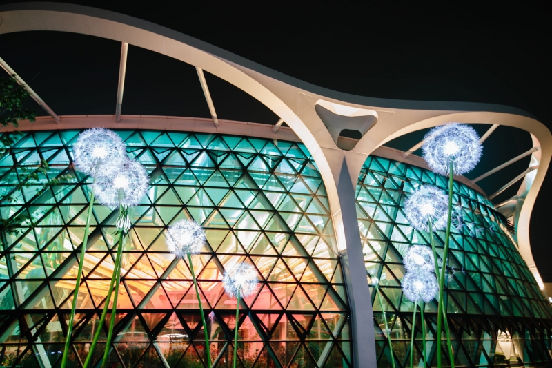 Hình ảnh chụp cảnh đêm của Vườn bách thảo Seoul nằm ở quận Gangseo-gu, thành phố Seoul. (Ảnh: Vườn bách thảo Seoul)