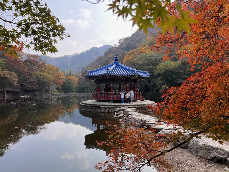 Uhwajeong, địa điểm chụp ảnh kỷ niệm tiêu biểu của Công viên quốc gia Naejangsan. (Ảnh: Wu Jinhua) 