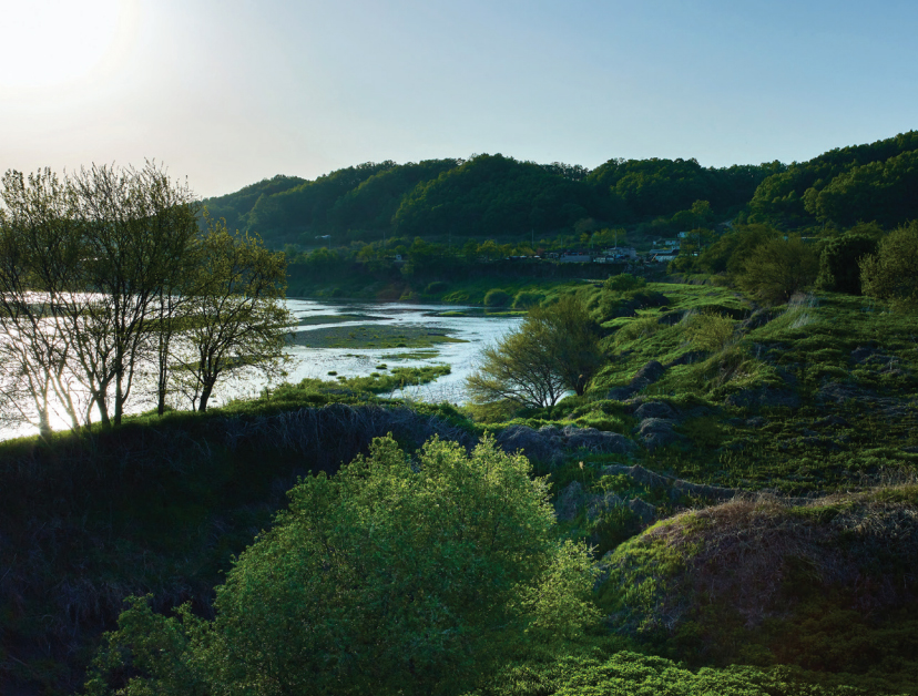 The DMZ has pristine, primeval forests.