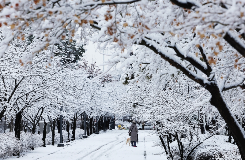 Tối muộn ng&agrave;y 21 v&agrave; rạng s&aacute;ng ng&agrave;y 22, tuyết đ&atilde; rơi nhiều ở Seoul v&agrave; c&aacute;c khu vực l&acirc;n cận, h&igrave;nh ảnh l&agrave; khung cảnh đường m&ograve;n cạnh S&acirc;n vận động World Cup Suwon, quận Paldal-gu, th&agrave;nh phố Suwon. (Ảnh: Yonhap News) 