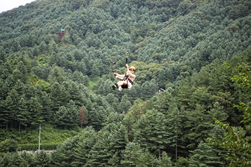 Hình ảnh chụp một khách du lịch chơi đu dây tại Bridge Zipline ở quận Gapyeong-gun, tỉnh Gyeonggi-do. (Ảnh: Bridge Zipline)