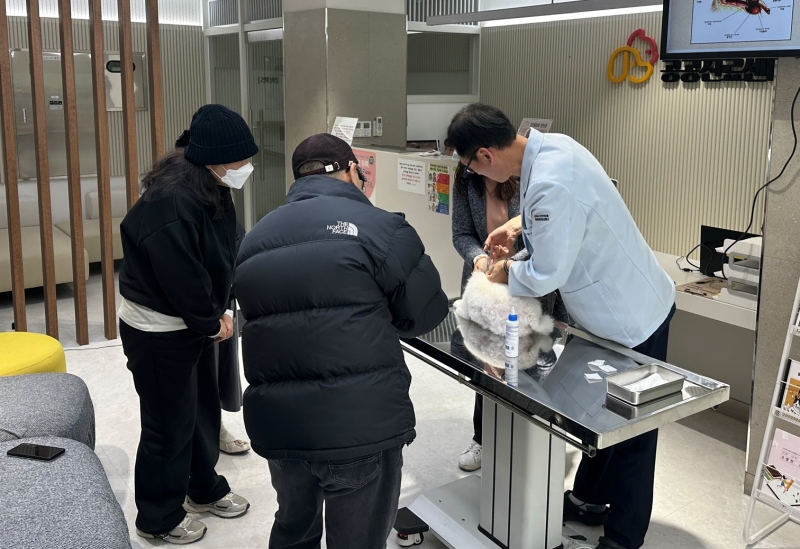 Y b&aacute;c sĩ tại Trung t&acirc;m kh&aacute;m chữa bệnh c&ocirc;ng cộng d&agrave;nh cho th&uacute; cưng ở th&agrave;nh phố Gimpo, tỉnh Gyeonggi đang điều trị cho một ch&uacute; ch&oacute;. (Ảnh: Trung t&acirc;m kh&aacute;m chữa bệnh c&ocirc;ng cộng d&agrave;nh cho th&uacute; cưng th&agrave;nh phố Gimpo)