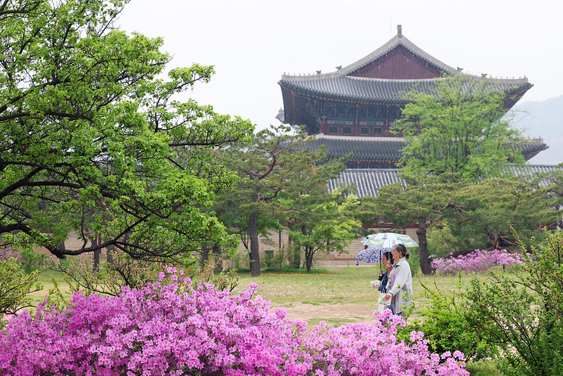 Du kh&aacute;ch nước ngo&agrave;i tham quan Cung điện Gyeongbokgung ở quận Jongno, Seoul ng&agrave;y 20/4. (Ảnh:&nbsp;Korea.net DB)