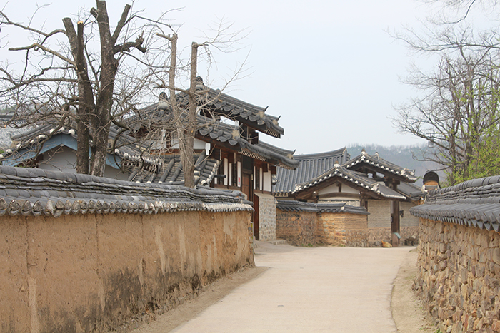 Những ngôi nhà cổ Hanok, nhà mái tranh nằm xen kẽ hài hoà bên những bờ tường trong Làng Hahoe.