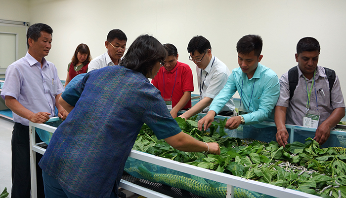Asia_silk_edu_L2.jpg