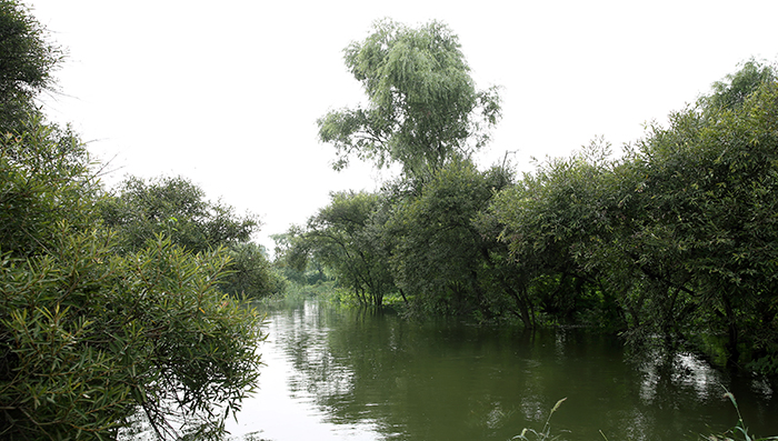 Bamseom_Island_Article_04.jpg