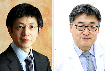 Research into the newly developed 'DNA scissors' technology is led by the Center for Genome Editing's Director Kim Jin-Soo (left) and Professor Lee Sang-Wook of University of Ulsan College of Medicine.