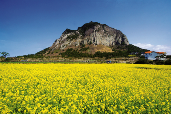 jeju10seon1111111111.jpg