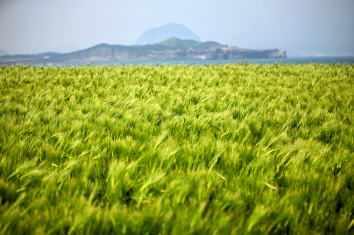 jeju10seon222222222.jpg