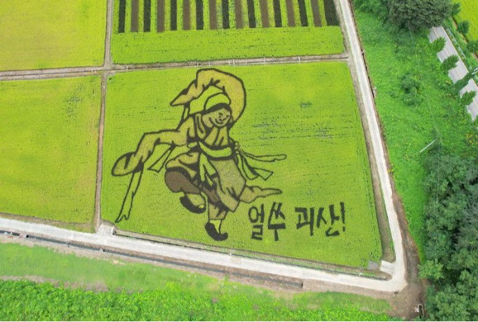 Vẽ tranh trên ruộng lúa