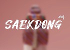 SAEKDONG-Tổ hợp màu truyền thống Hàn Quố...