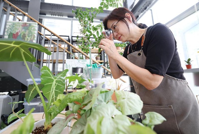 Chăm sóc các loài thực vật