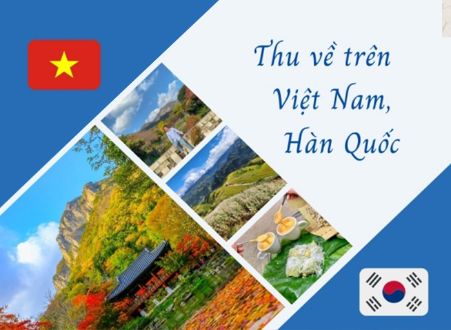 Thu về trên Việt Nam và Hàn Quốc - Sắc màu tương đồng, dư vị riêng biệt