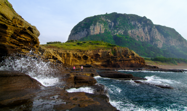 Mùa xuân tràn ngập hương hoa trên đảo Jeju