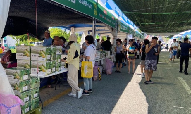 Lễ hội Ngô nếp Hongcheon