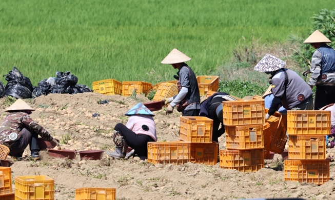 Chính phủ Hàn Quốc xóa bỏ triệt để vi phạm nhân quyền đối với lao động nước ngoài