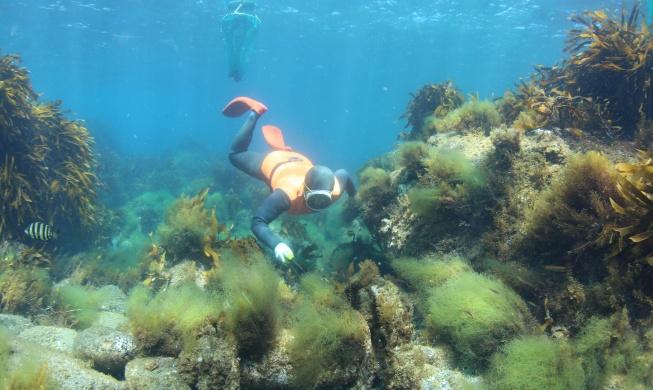 Hàn Quốc có thêm 4 Hệ thống Di sản Nông nghiệp Quan trọng Toàn cầu