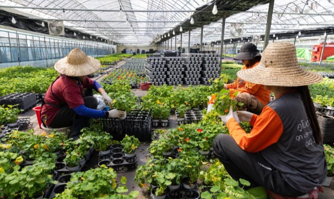 Bộ Việc làm và Lao động nâng cao quyền lợi cho người lao động nhập cư