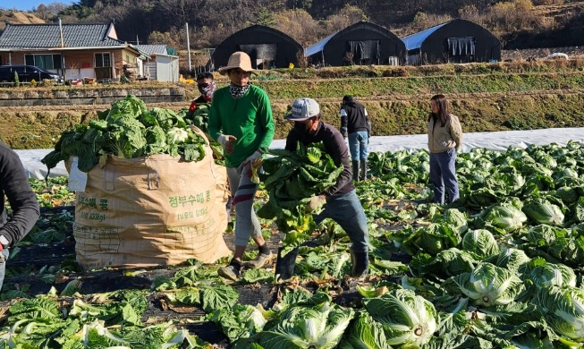 Lao động thời vụ nước ngoài sẽ được miễn đóng bảo hiểm chăm sóc dài hạn