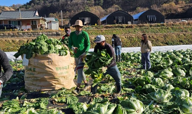 Năm sau, Hàn Quốc sẽ tiếp nhận 191.000 lao động nước ngoài không chuyên môn