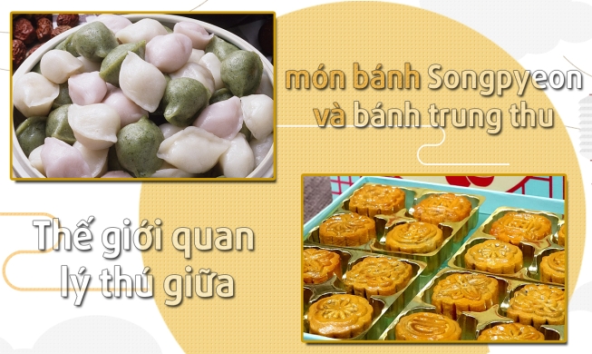 Thế giới quan đầy lý thú giữa món bánh Songpyeon và bánh trung thu