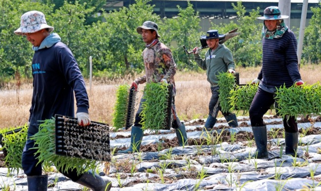 Đẩy mạnh các chính sách thu hút người nước ngoài định cư tại Hàn Quốc